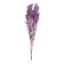 Bundle of dried flowers      Size: 75-80cm, ca. 120g...