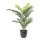 Areca palm 12 PE leaves, out of plastic/artificial silk     Size: 75cm, pot: Ø16cm    Color: green