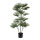 Palm in pot 20 PE leaves, out of plastic/artificial silk     Size: 120cm, pot: Ø17cm    Color: green