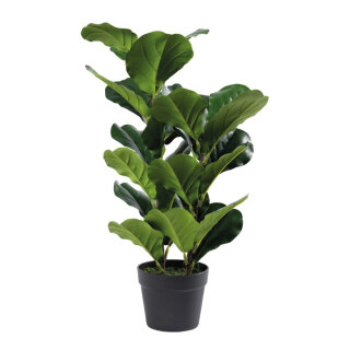 Fiddle fig tree 26 leaves, out of plastic/artificial silk, in cement pot     Size: 70cm, pot: Ø16cm    Color: green
