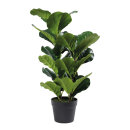 Fiddle fig tree 26 leaves, out of plastic/artificial...