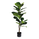Fiddle fig tree 27 leaves - Material: out of...