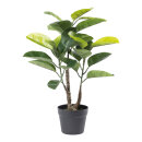 Rubber ficus bonsai 24 leaves, out of plastic/artificial...