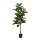 Rubber ficus bonsai 72 leaves, out of plastic/artificial silk     Size: 130cm, pot: Ø15cm    Color: green