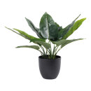 Aureum Bonsai in pot 25 leaves, out of plastic/artificial...