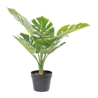 Monstera 8 leaves, out of plastic/artificial silk     Size: 60cm, pot: Ø15,5cm    Color: green