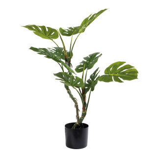 Monstera 10 Blätter, aus Kunststoff/Kunstseide     Groesse: 100cm, Topf: Ø 15,5cm    Farbe: grün