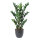 Zamioculcas zamiifolia plant 84 leaves, out of plastic/artificial silk     Size: 70cm, pot: Ø17,5cm    Color: green