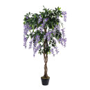 Wisteria tree in pot ca. 840 leaves, out of artificial...