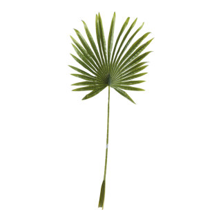 Fan palm leaf out of plastic     Size: 100x40cm, stem: 62cm    Color: green