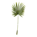 Fan palm leaf  - Material: out of plastic - Color: green...