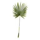 Fan palm leaf out of plastic     Size: 100x40cm, stem:...