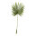 Fan palm leaf out of plastic     Size: 100x40cm, stem: 62cm    Color: green