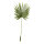 Fan palm leaf out of plastic     Size: 100x40cm, stem: 62cm    Color: green