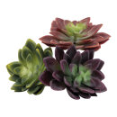 Succulents 3 in set - Material: out of plastic - Color:...