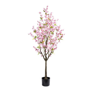 cherry blossom tree in pot 304 blossoms, out of plastic/artificial silk     Size: 150cm, pot: Ø16cm    Color: pink/brown