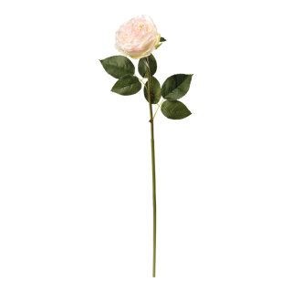 Peony on stem out of artificial silk/ plastic, flexible     Size: 60cm, Ø9cm, stem: 37cm    Color: cream-coloured