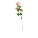 Jasmine flower on stem out of artificial silk/ plastic,...