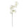 Cherry blossom spray out of artificial silk/ plastic, flexible     Size: 100cm, stem: 46cm    Color: white