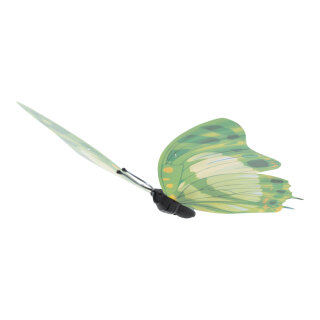Schmetterling aus Kunststoff, mit Hänger     Groesse: 21x30cm    Farbe: grün
