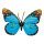 Butterfly out of plastic, with hanger     Size: 35x50cm    Color: blue