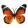 Butterfly out of plastic, with hanger     Size: 35x50cm    Color: red/orange