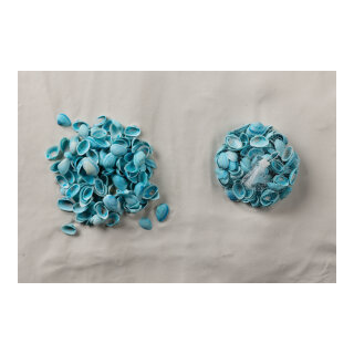 Shells in net      Size: 300g, 2-4cm    Color: light blue