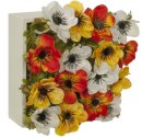 Blumenbox AMAPOLA CR/AMA/NRJ., 20x20x12cm