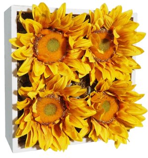 Blumenbox GIRASOL AMARILLOx4FL., 20x20x10cm