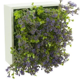 Blumenbox EUCAL.C/FL.LILA , für Innen und Außen 20x20x12cm