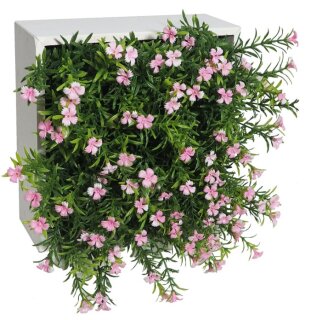 Blumenbox FLOR SILV.ROSA für Innen und Außen, 20x20x12cm
