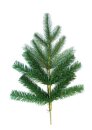 Weihnachtsbaum "Izabella" H180cm Ø95cm - Made in Ukraine