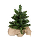 Edeltanne      Groesse: im Jutesack, 27 Tips, 30cm...