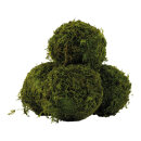 Moss balls 4 pcs., out of styrofoam/plastic, with...