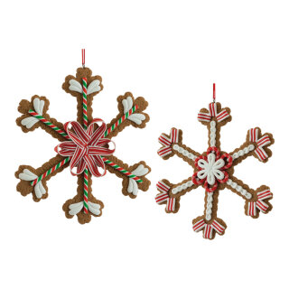 Lebkuchen »Schneeflocken« 2-fach, aus Kunststoff, mit Hänger     Groesse: 15cm    Farbe: braun/bunt