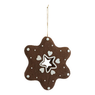 Lebkuchen »Schneeflocke« aus Styropor, mit Hänger     Groesse: 20cm, Dicke: 2cm    Farbe: braun/weiß