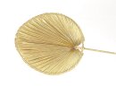 Stiel Palmblat Oval, L115cm B46cm, Gold