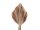 Stiel Palmblat King Spear L110cm B45cm, Champagne