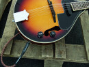 DIMAVERY ML-003 Mandolin w.PU, sunburst