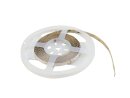 EUROLITE LED Strip 600 5m 3528 2700+6500K 12V