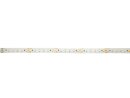 EUROLITE LED Strip 600 5m 3528 2700+6500K 12V