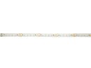 EUROLITE LED Strip 600 5m 3528 2700+6500K 12V