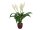 EUROPALMS Lily Peace, artificial plant, 49cm