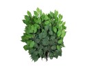 EUROPALMS Ficus spray Benjamina, artificial, 12x