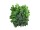 EUROPALMS Ficus spray Benjamina, artificial, 12x