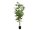 EUROPALMS Hanfpflanze, Kunstpflanze, 150cm