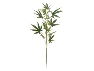 EUROPALMS Cannabis-spra, artificial plant, 90cm