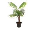 EUROPALMS Fächerpalme, Kunstpflanze, 88cm