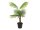 EUROPALMS Fan Palm, artificial plant, 88cm