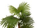 EUROPALMS Fan Palm, artificial plant, 130cm